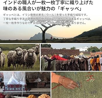 Amazon｜萩原 ギャッベ ラグ オレンジ 約140X200cm 「LORRI BUFF